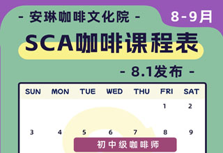 安琳咖啡SCA咖啡培训课程表（2025年8月-9月）