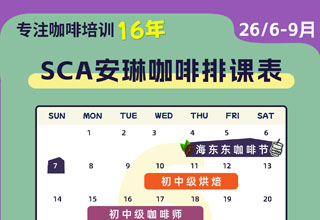 安琳咖啡SCA咖啡培训课程表（2026年6月-9月）