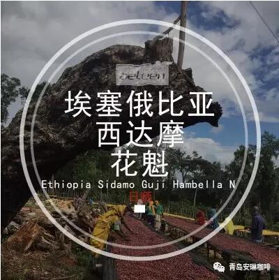 咖啡培训