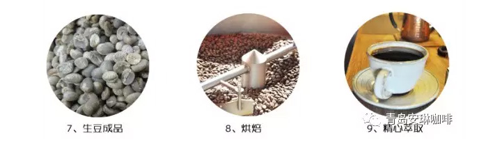 咖啡培训
