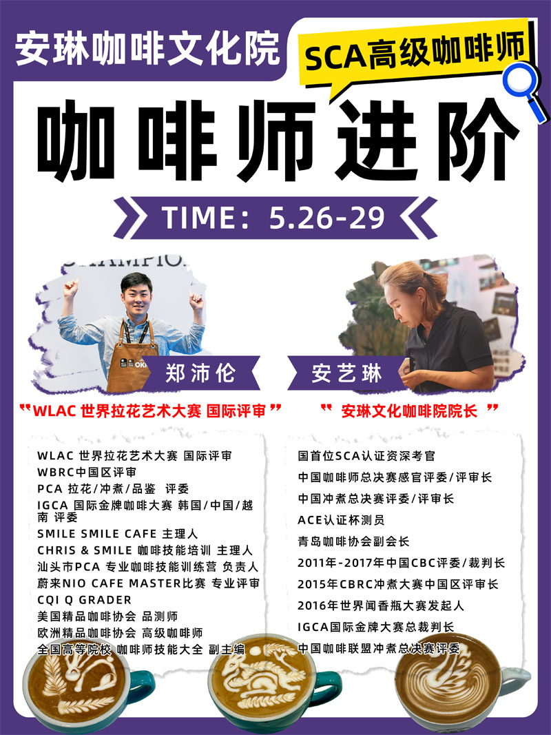 安琳咖啡师进阶课